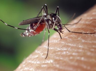 Dengue dispara no Brasil e governo Lula anuncia centro de emergência