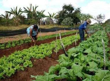 Rui defende reforma tributária para impulsionar setor produtivo na Bahia
