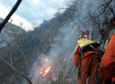 Rui decreta emergência em 73 municípios baianos afetados por incêndio florestal