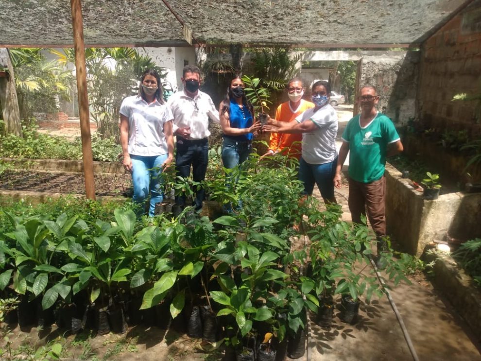 Itapetinga: Prefeitura distribui mudas de árvores frutíferas à Associação Comunitária