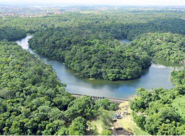 Governadores do Nordeste manifestam compromisso em defesa do meio ambiente