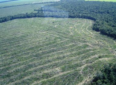 Brasil tem segundo pior ano de desmate da Amazônia da história recente