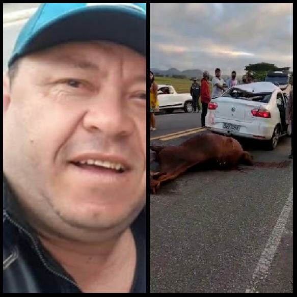 Itororó/Itapetinga: Animal solto na pista causa acidente com vítima fatal na BA 263