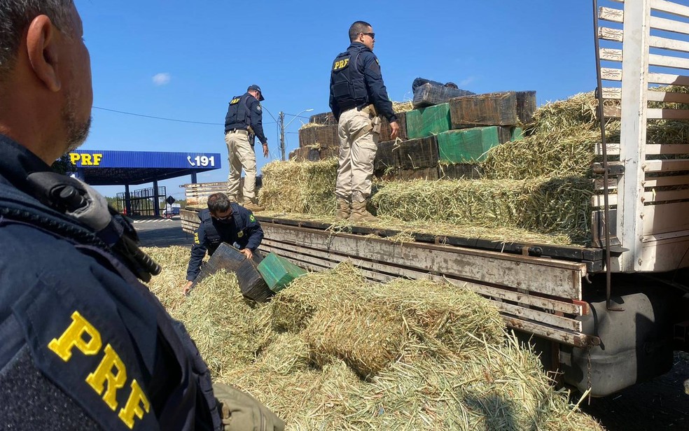 Polícia incinera quase três toneladas de maconha encontrada em carga de feno no sudoeste do estado