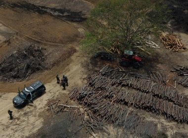 Operação constata desmatamento ilegal em cerca de 589 hectares na Bahia