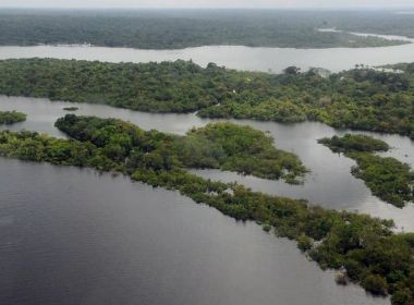 Cerca de 300 dragas clandestinas atracam em rio na Amazônia para extrair ouro