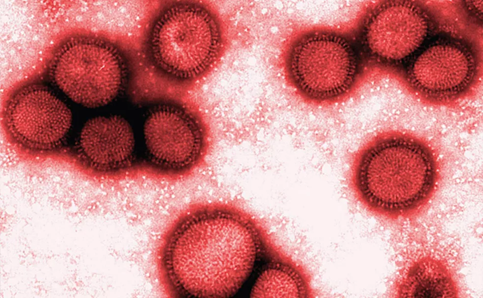 Cidades baianas registram mortes por Influenza H3N2; Valença, Sapeaçu e Laje estão na lista