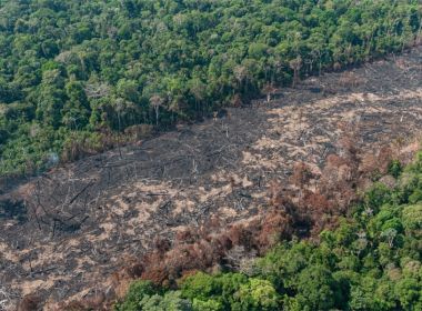 Governo Bolsonaro fiscalizou menos de 3% dos alertas de desmatamento no país