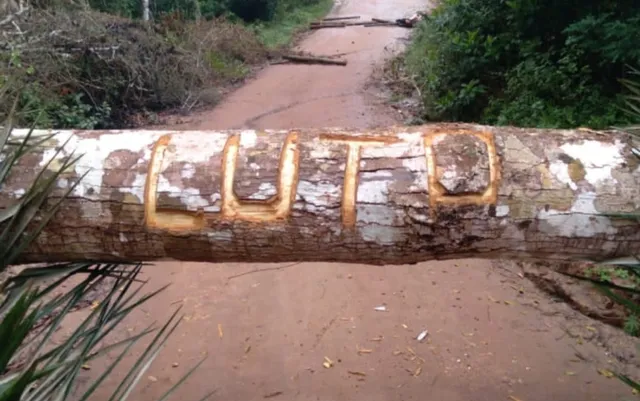 Grupo bloqueia estradas após morte de adolescente indígena em povoado de Prado, no extremo sul da Bahia