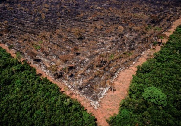 Crime organizado recebe fiscais do Ibama à bala na Amazônia