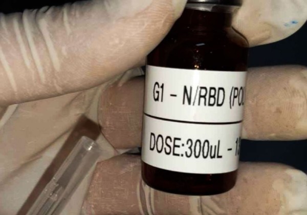 Vacina nacional contra a covid-19 inicia testes clínicos
