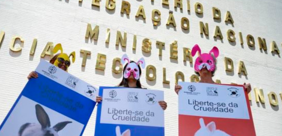 Governo proíbe uso de animais em testes de cosméticos e produtos de higiene