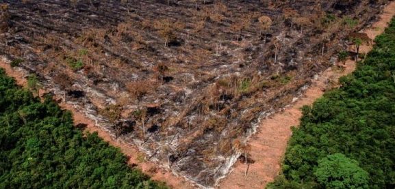EUA vão anunciar US$ 500 milhões para Fundo Amazônia nos próximos 5 anos