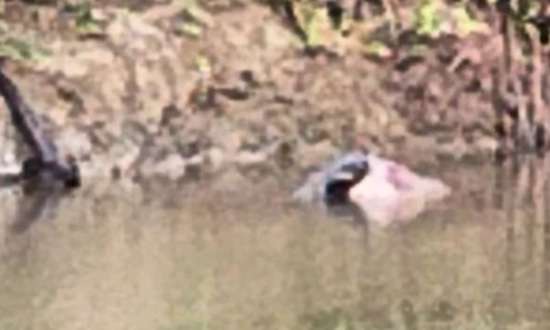 Corpo é encontrado às margens do Rio  Catolé, em Itapetinga