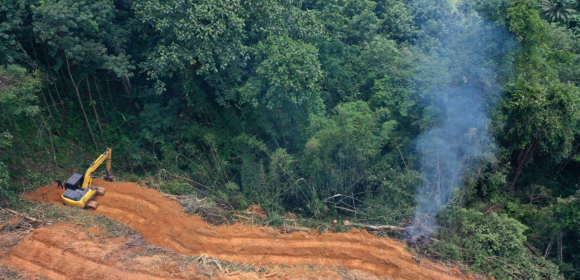 Desmatamento cai pela metade na amazônia e sobe 43% no cerrado em 2023