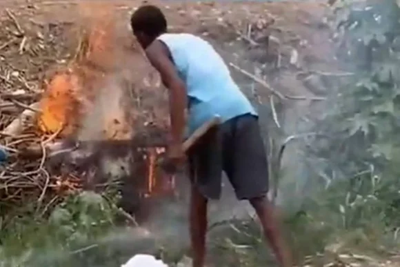 Homem ateia fogo em cadela e sete filhotes em Jequié