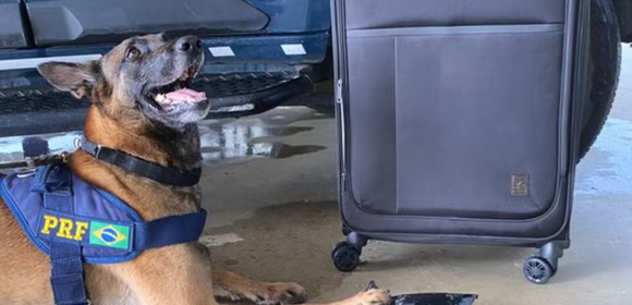 Homem é preso em flagrante suspeito de tráfico de drogas na BA; 3kg de cocaína estavam em fundo falso de mala, dentro de ônibus