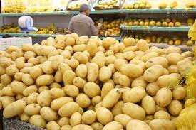 Itapetinga: Pelotão Ambiental Captura Cobra Dentro de Tabuleiro de Batatas em supermercado