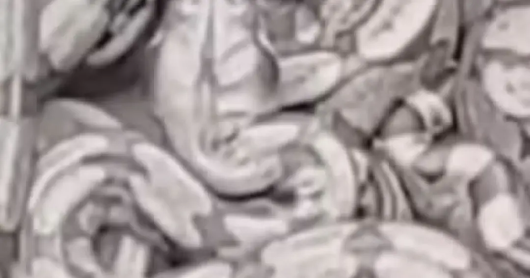 Mais de 30 jiboias são resgatadas em residência de Vitória da Conquista