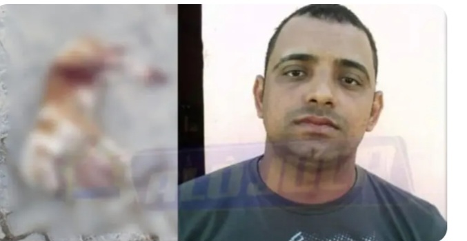 Interior da Bahia: Homem é executado com mais de 20 tiros; até cachorro é morto