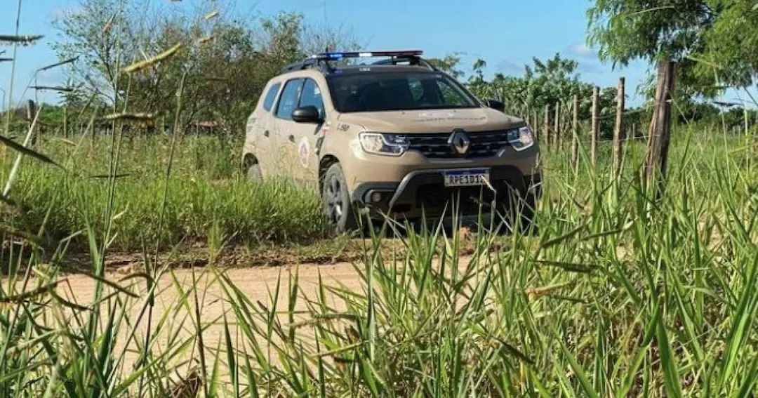 Corpo de homem é encontrado esquartejado em estrada no Extremo Sul