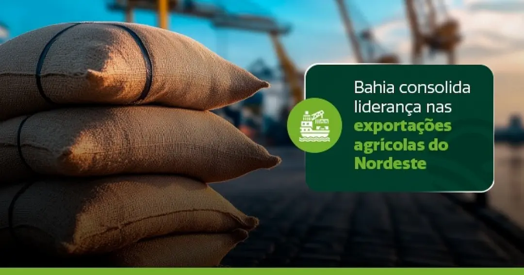 Bahia mantém liderança nas exportações agrícolas do Nordeste e amplia presença global