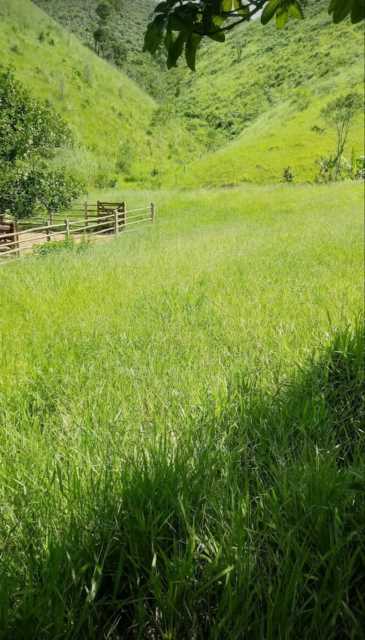 Sua chance de investir no campo! Fazenda de 50 hectares disponível em Bandeira de Minas