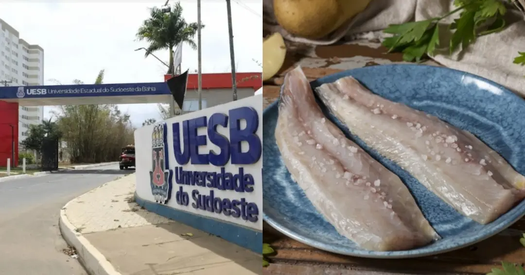 Estudo da Uesb alerta para contaminação em tilápias vendidas em feiras livres no interior da bahia