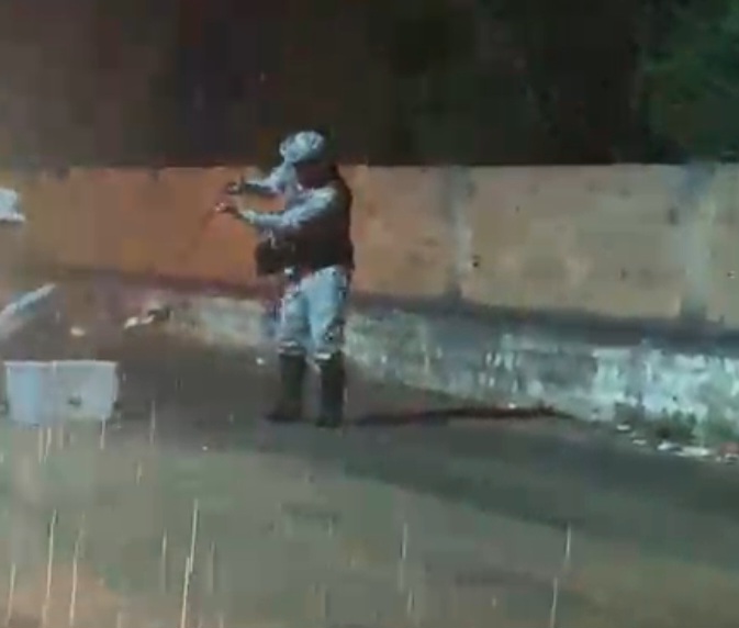 Pelotão Ambiental de Itapetinga resgata jiboia em avenida movimentada