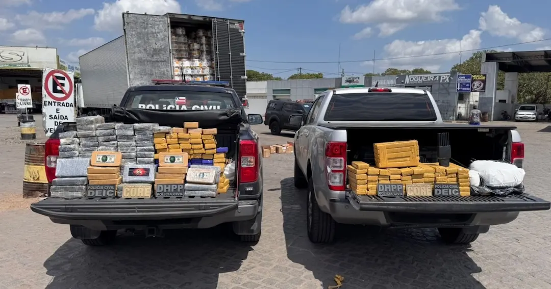 Polícia apreende 200 kg de drogas e atinge organização criminosa do Rio de Janeiro no interior da Bahia
