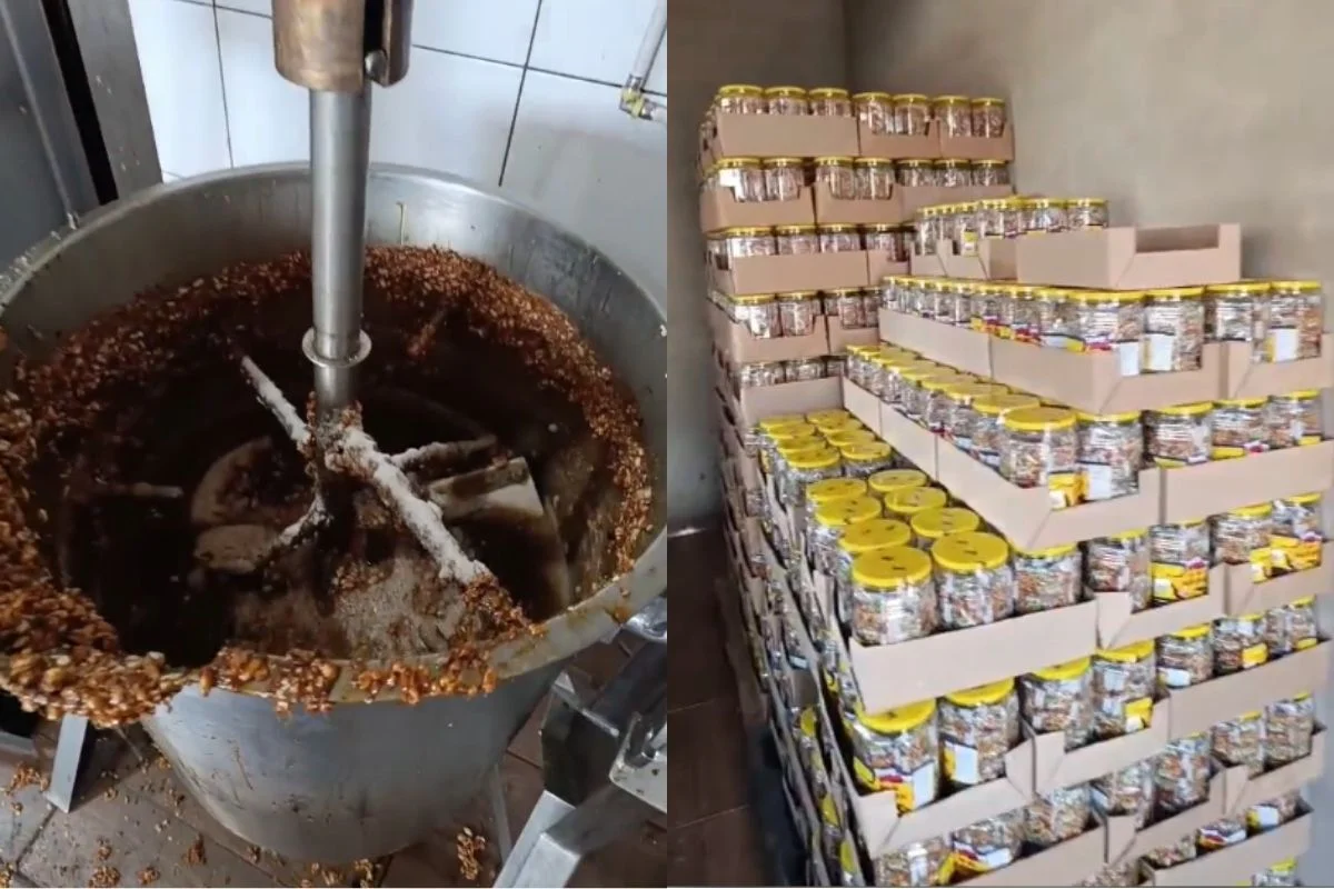 Polícia descobre fábrica clandestina de doces com fezes de rato
