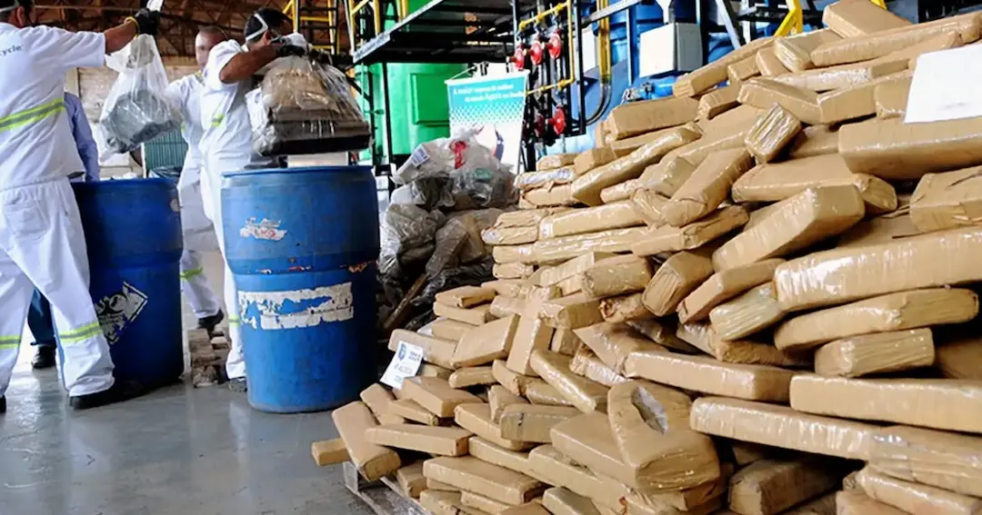 O que é a cocaína negra, variedade encontrada no Brasil que escapa de cães farejadores