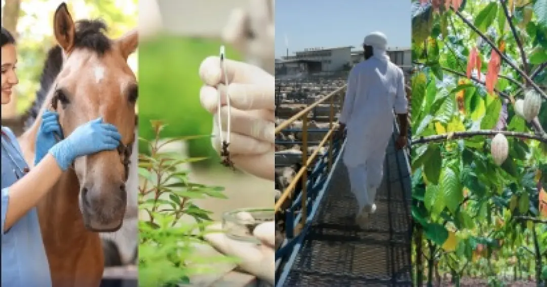 Concurso da Adab tem edital publicado com 200 vagas; inscrições começam em 6 de fevereiro