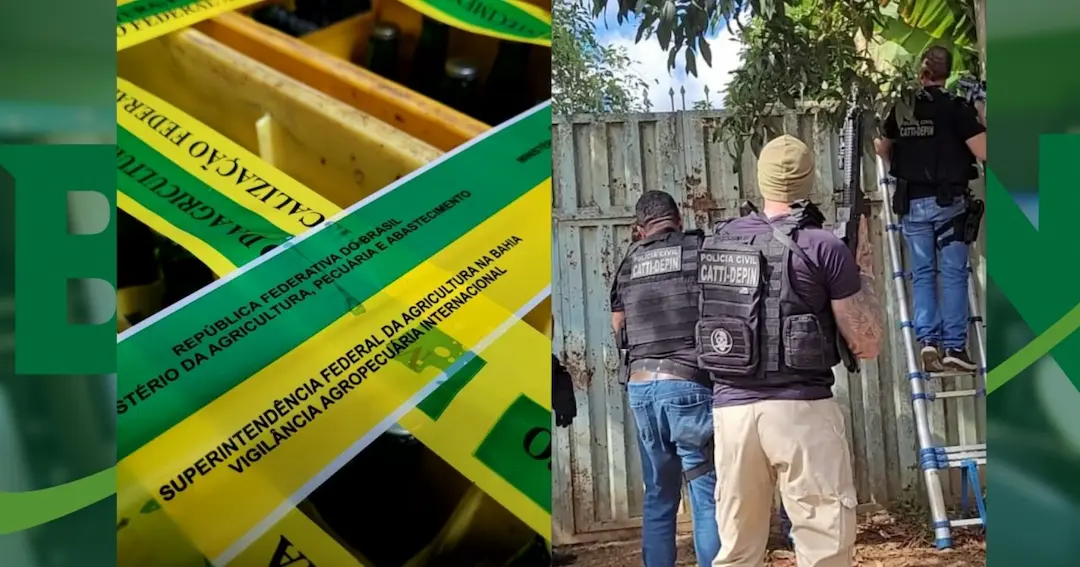 VÍDEO: Operação desarticula fábrica clandestina de bebidas em Vitória da Conquista