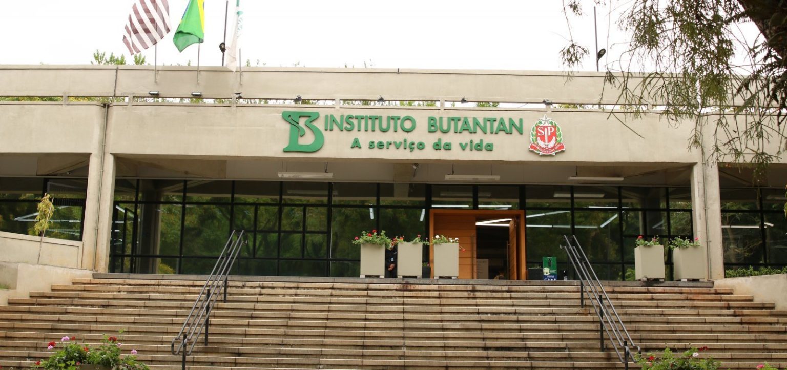 Butantan vai produzir medicamento contra o câncer para o SUS