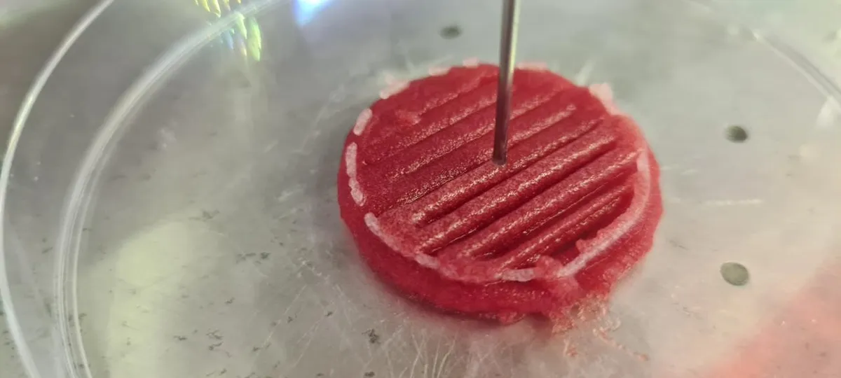 Carne cultivada avança e Bahia entra na corrida por alimento do futuro com tecnologia 3D