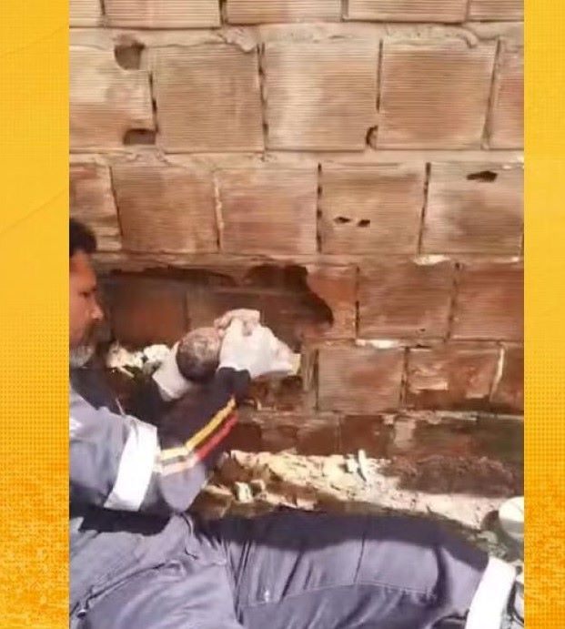 Recém-nascido encontrado vivo entre muros morre após luta pela vida