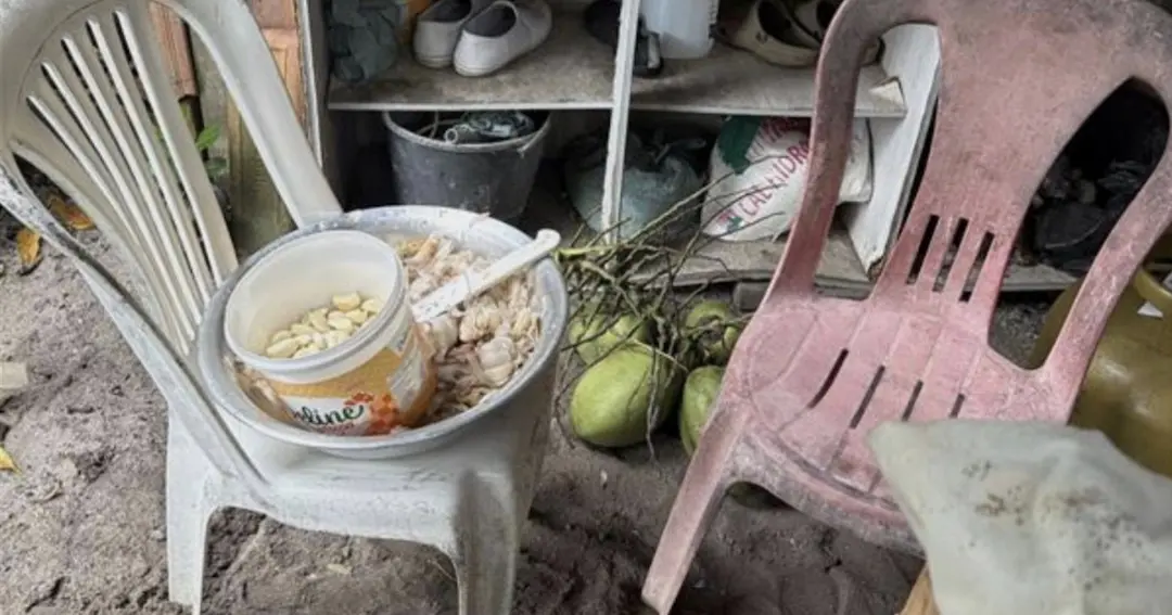 Justiça afasta gestora de abrigo de idosos na Bahia por irregularidades como mau cheiro, alimentos com insetos e falta de alvará
