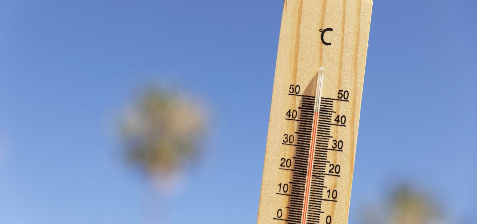 Onda de calor extrema deixa ao menos 18 mortos na França e coloca Europa em alerta
