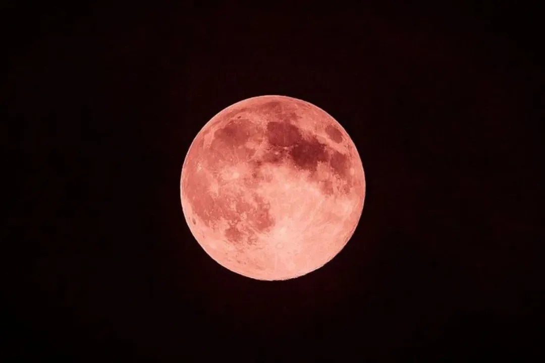 Lua de Morango poderá ser observada no Brasil na próxima segunda-feira (29); saiba o que é o fenômeno