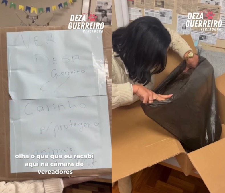 Vereadora recebe caixa com cachorro morto dentro do gabinete e denuncia ato de intimidação