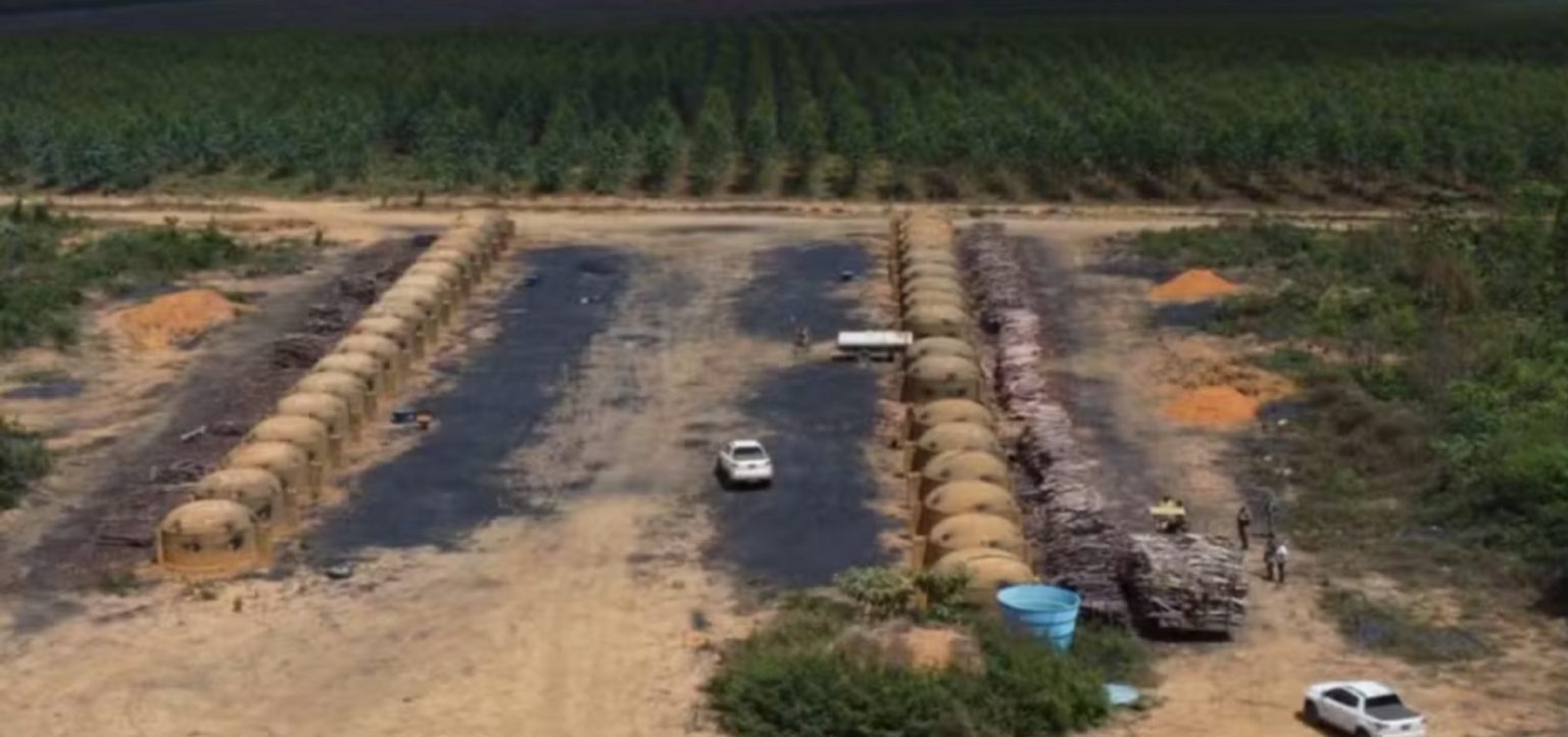 Operação identifica mais de 200 hectares de desmatamento ilegal na Bahia